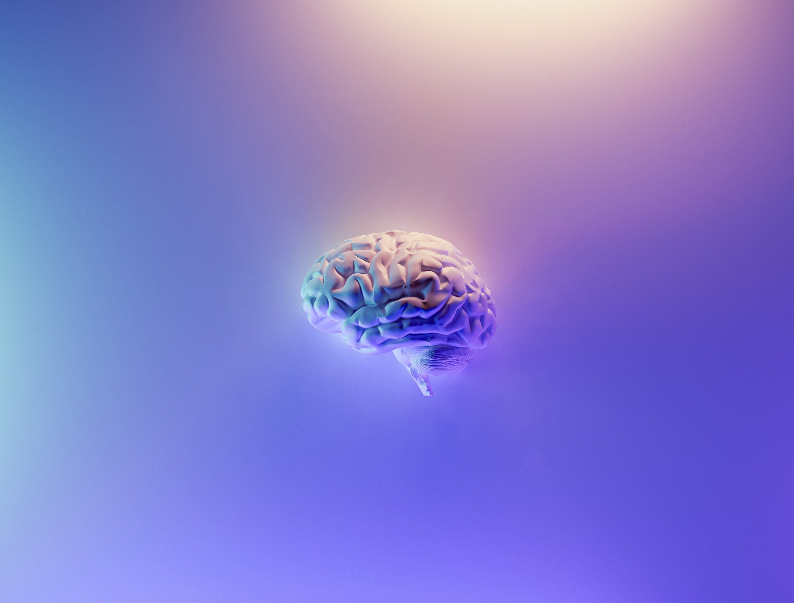 Brain Bee Contest Bootcamp 2023-24