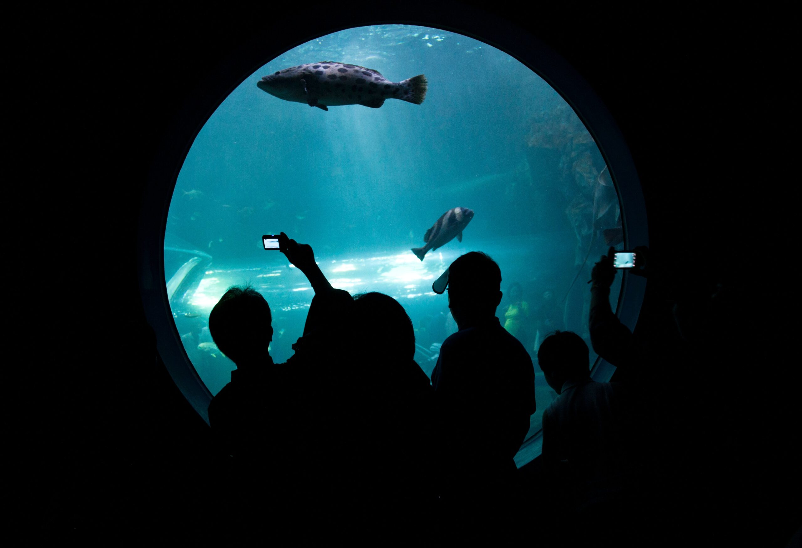 Field Trip – Fall 2023 Semester